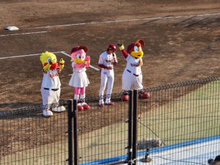 プロ野球オープン戦／草薙球場第２戦