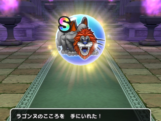 ドラクエウォーク／ラゴンヌS獲得