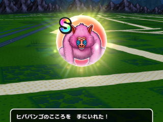 ドラクエウォーク／ヒババンゴS獲得