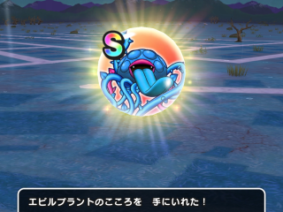 ドラクエウォーク／エビルプラントS ２個目
