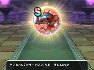 ドラクエウォーク／とこなつパンサーS獲得
